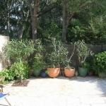 Ste maxime, 3 pieces